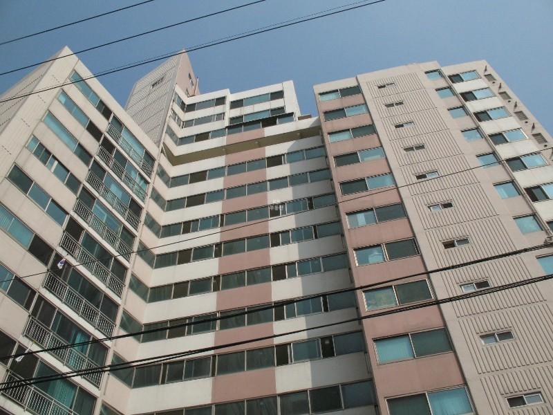 사진 374