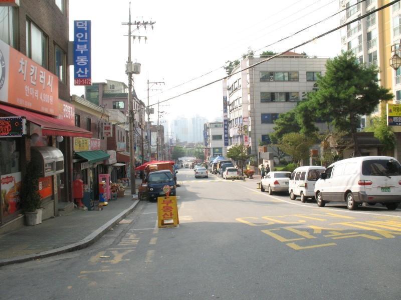 사진 542