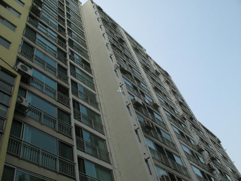 사진 533