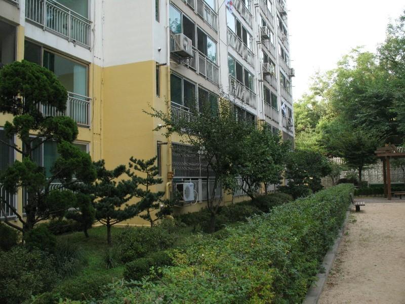 사진 534