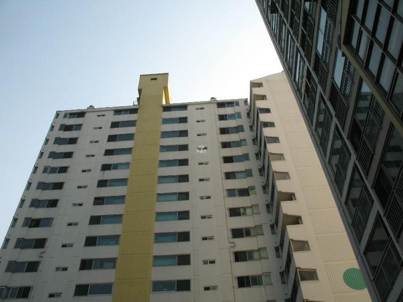사진 535