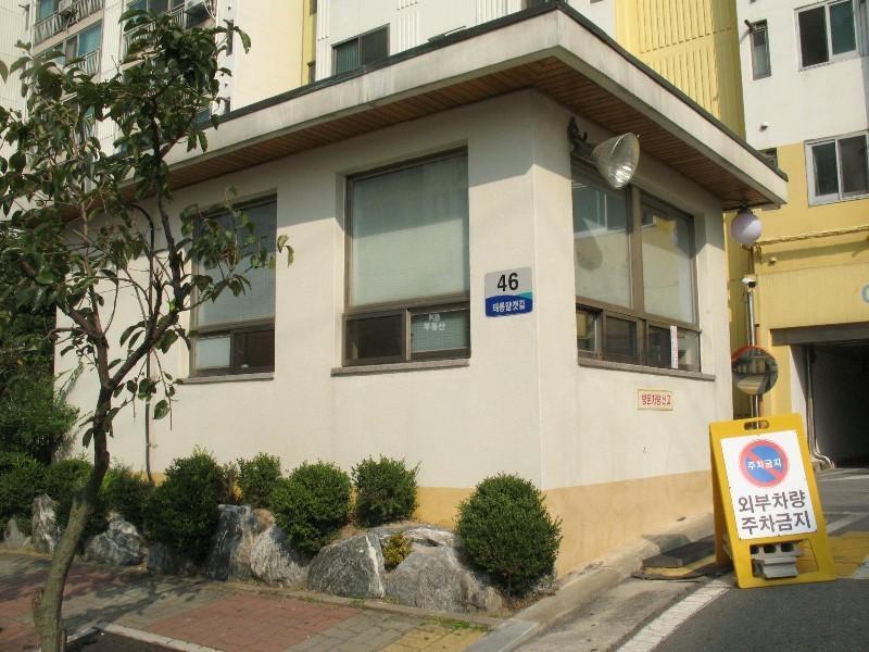 사진 525