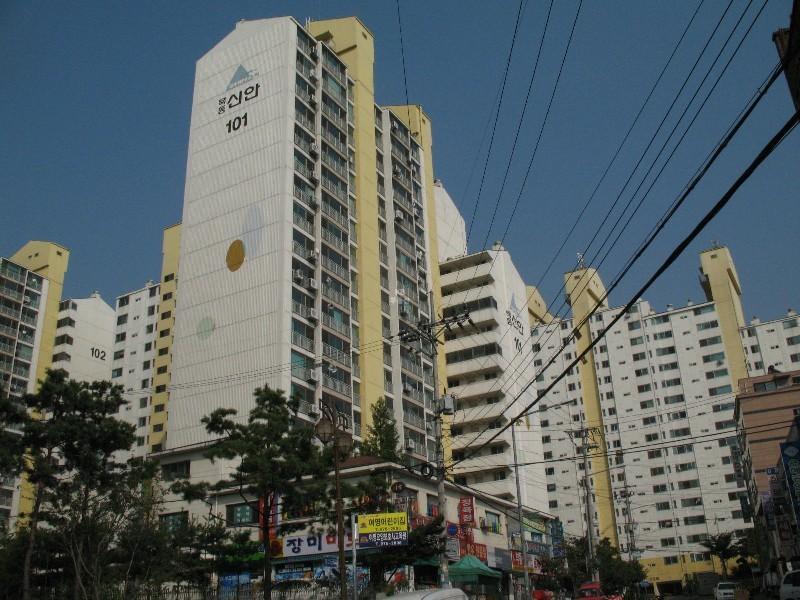 사진 507