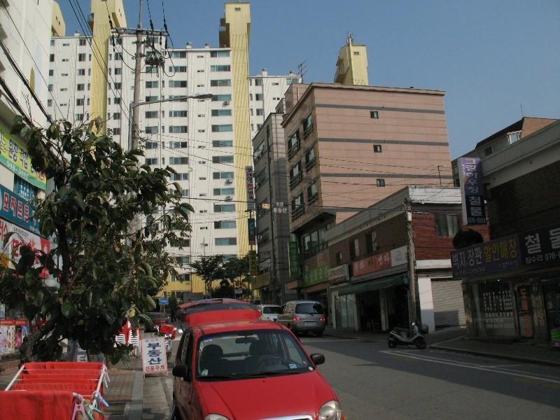 사진 509
