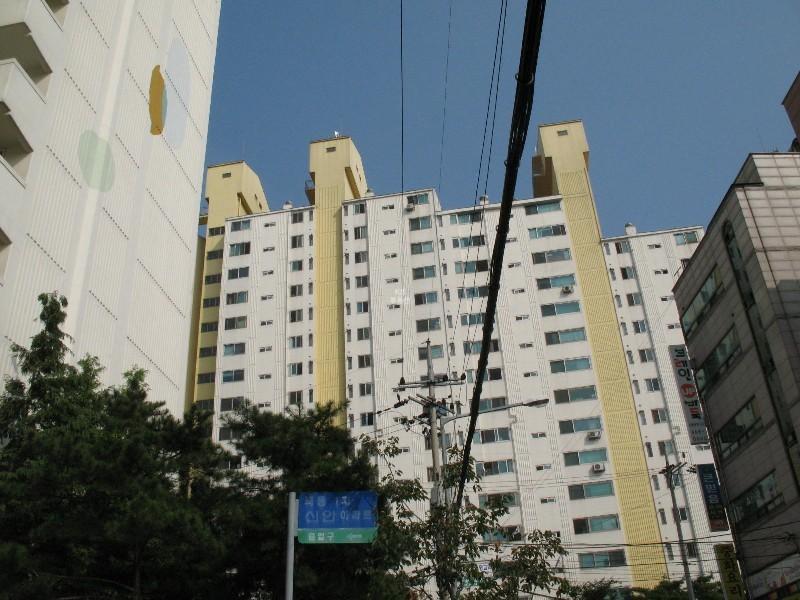 사진 512