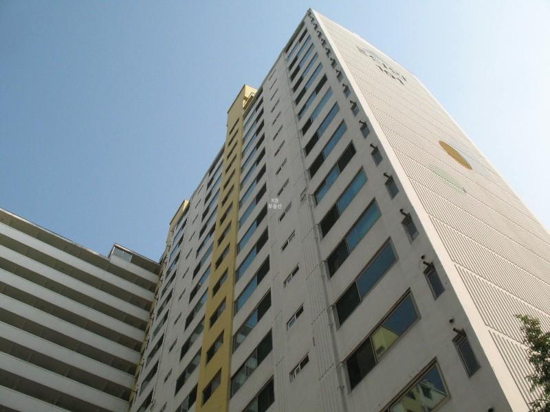 사진 518
