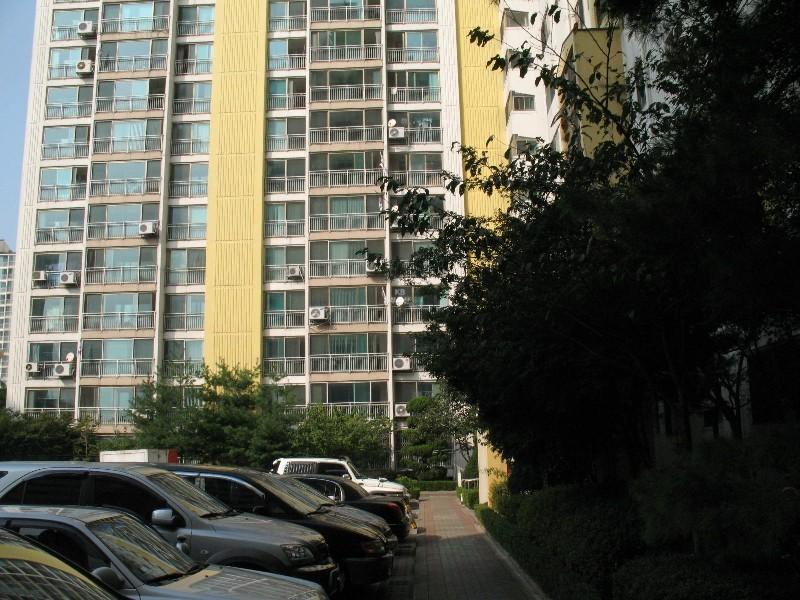 사진 524