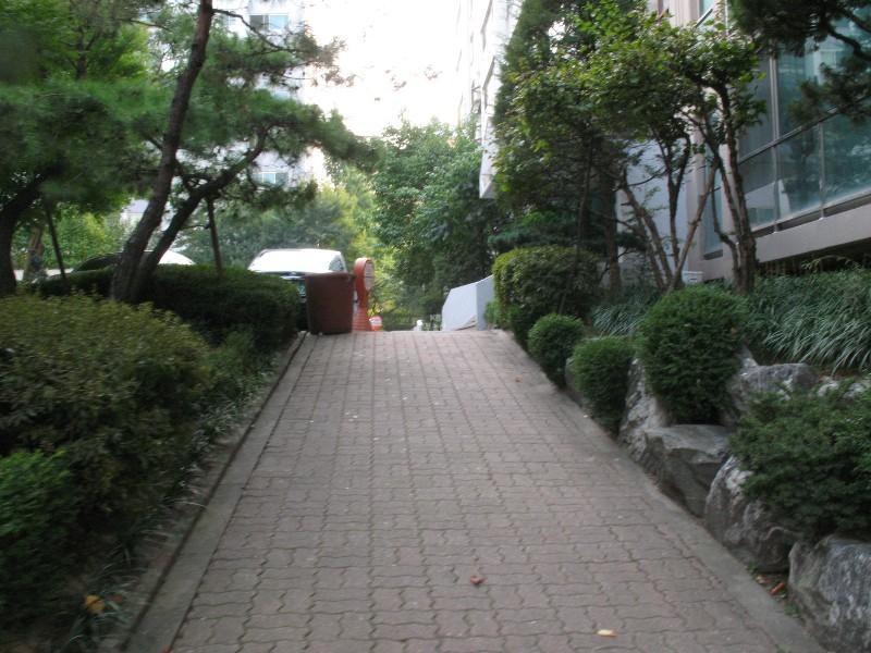 사진 613