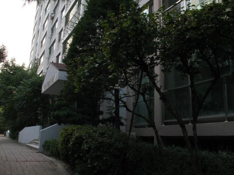사진 619