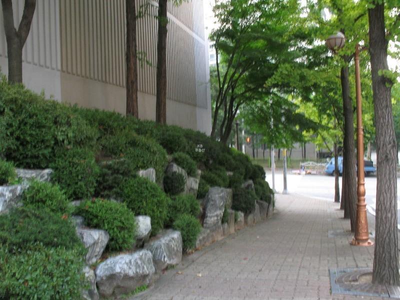 사진 620