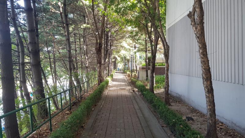 단지 내 보행로 및 산책로에요