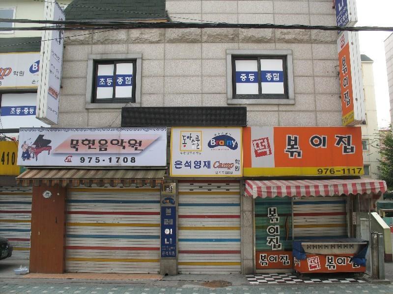 사진 261