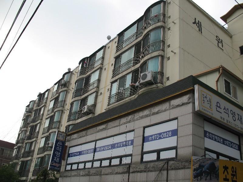 사진 262