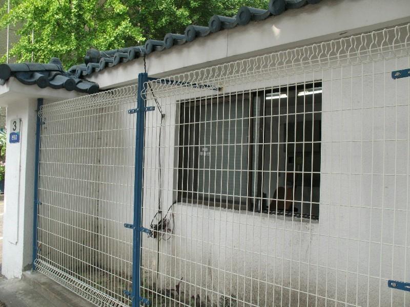 사진 222