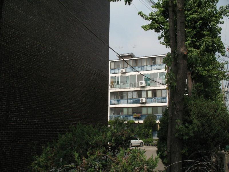 사진 224