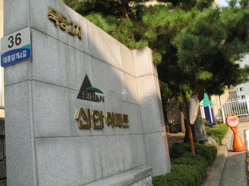 사진 545