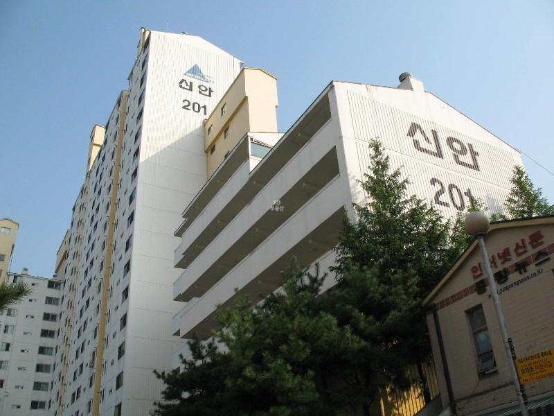 사진 546