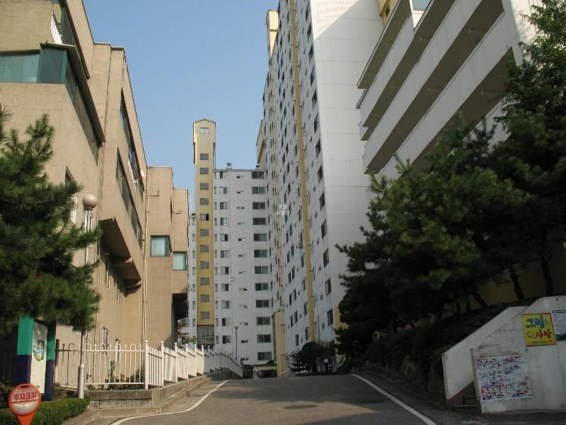 사진 547