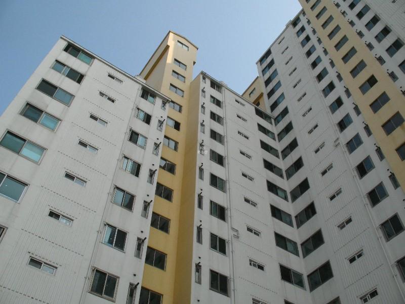 사진 554