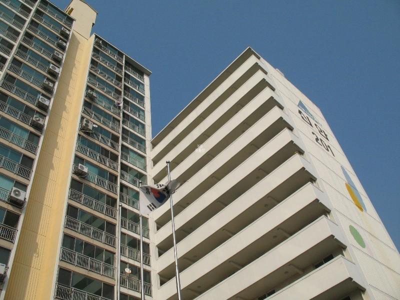 사진 558