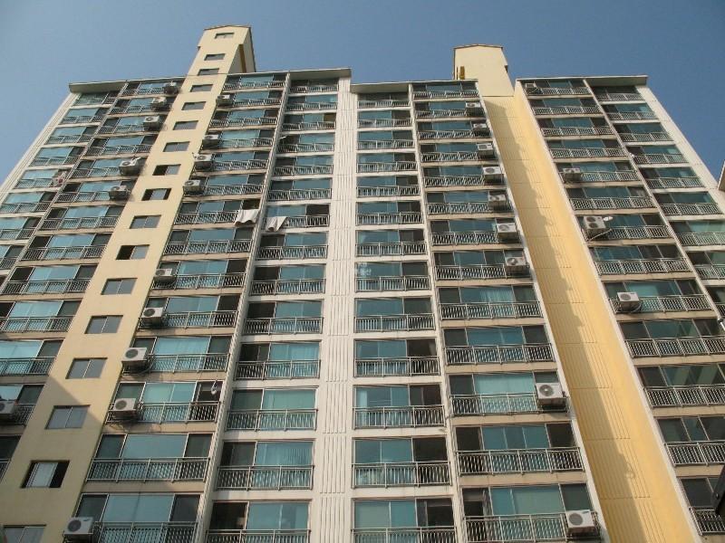 사진 559