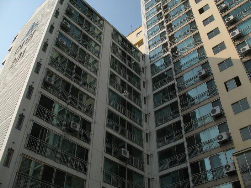 사진 560