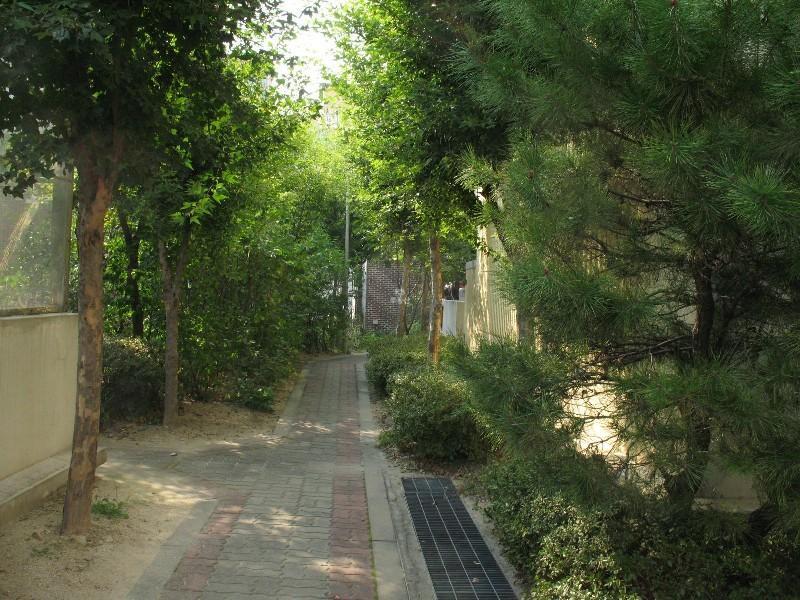 사진 561