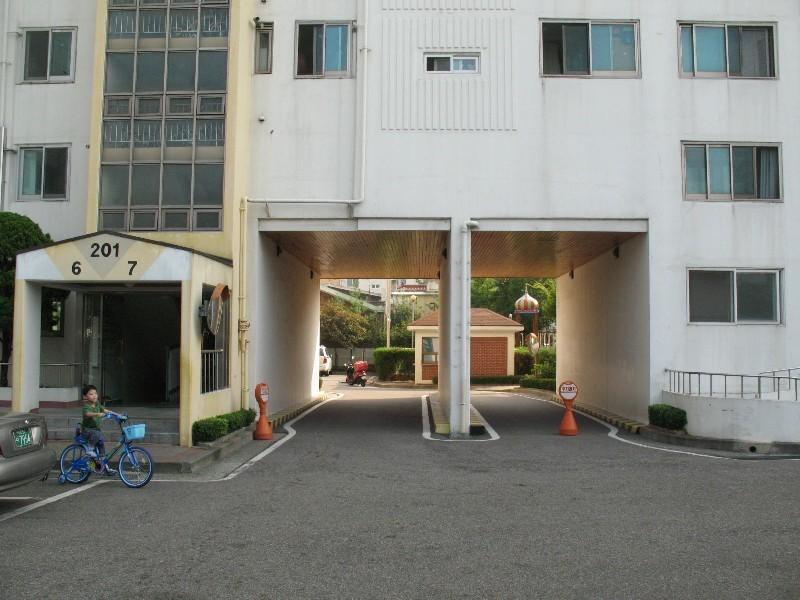 사진 555
