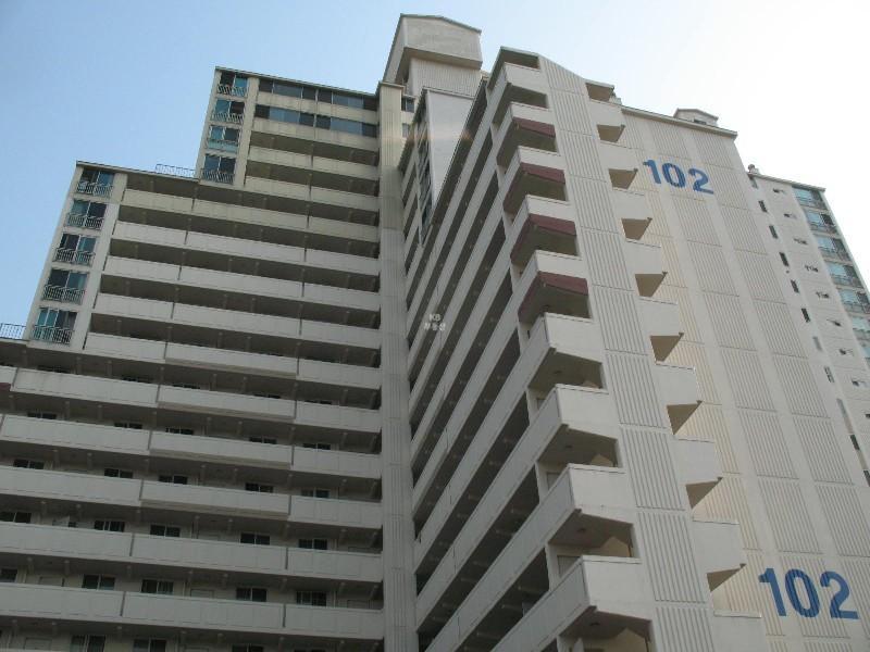 사진 592