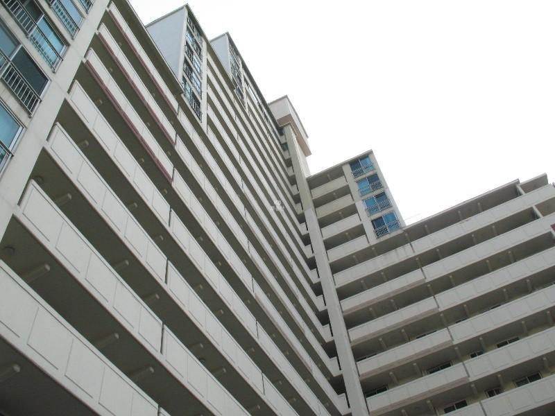 사진 594