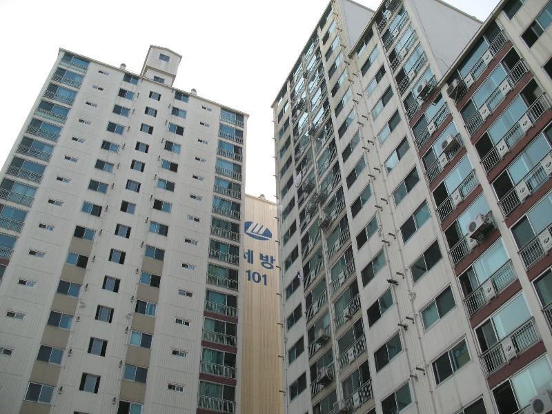 사진 597