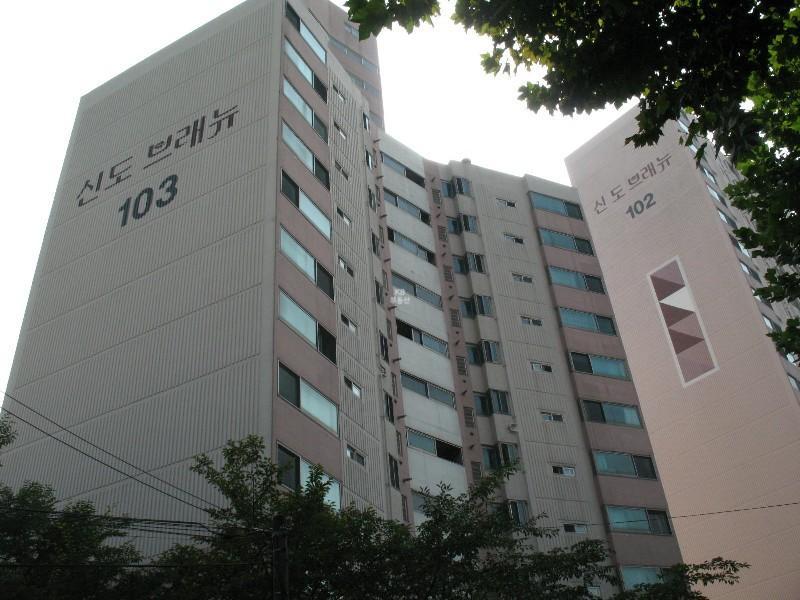 사진 389