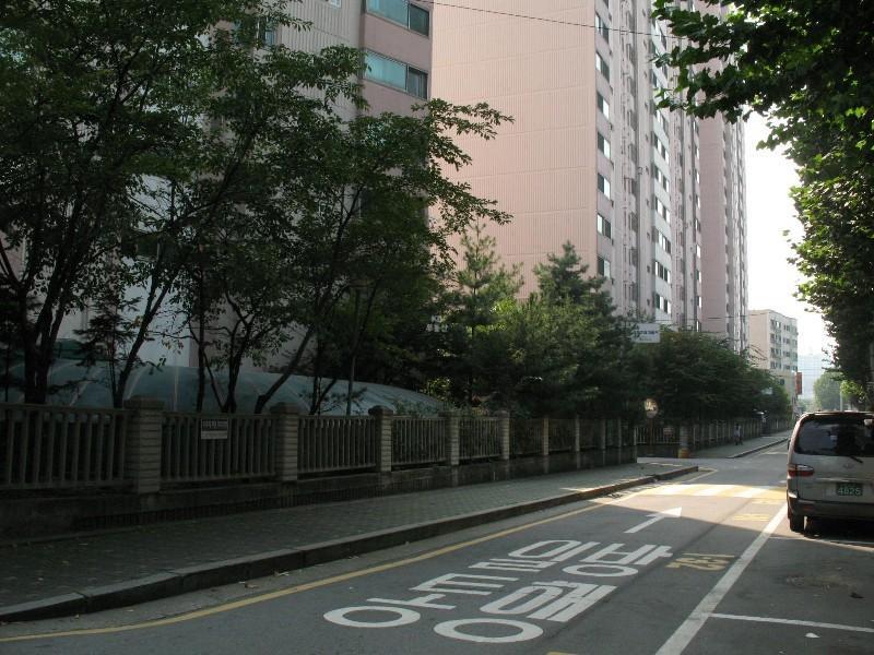 사진 390