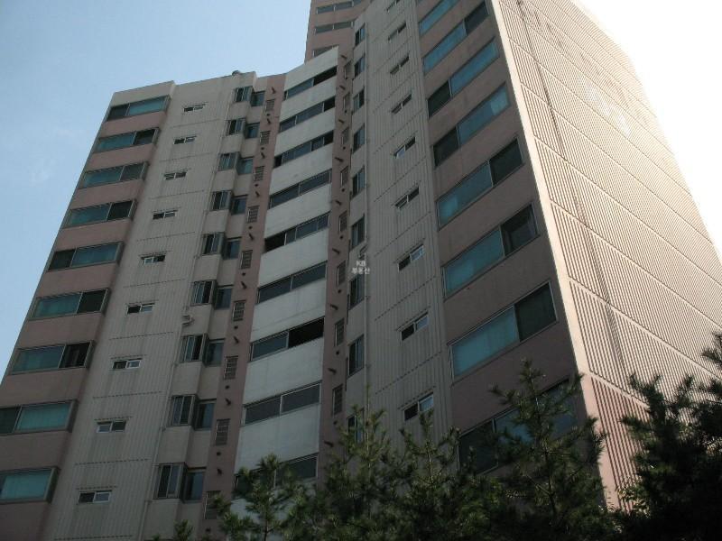 사진 391