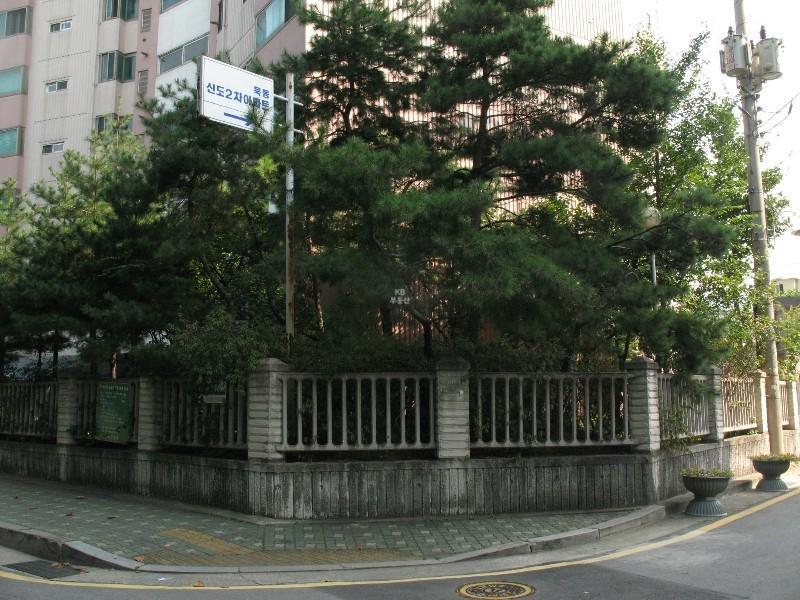 사진 392