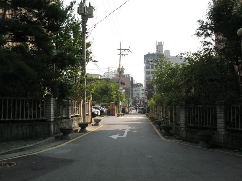 사진 393