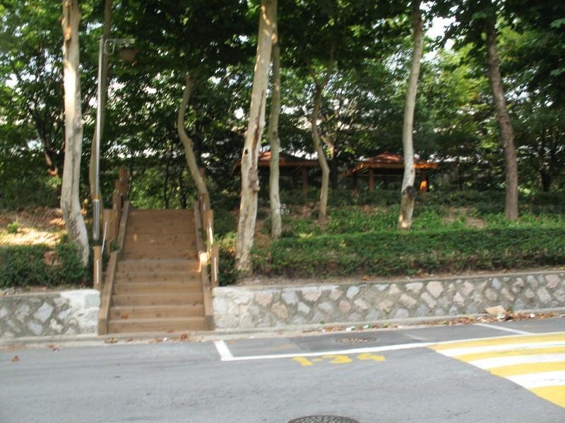 산책로