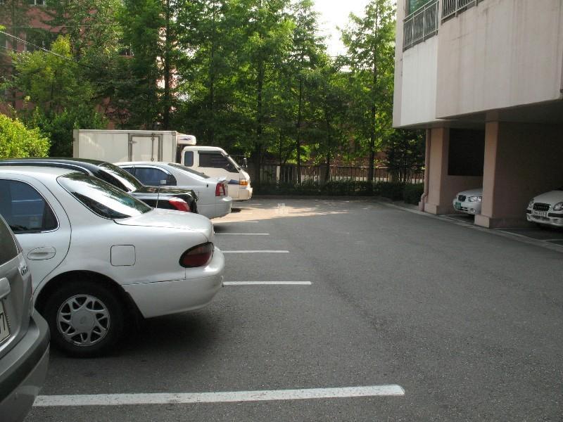 사진 383