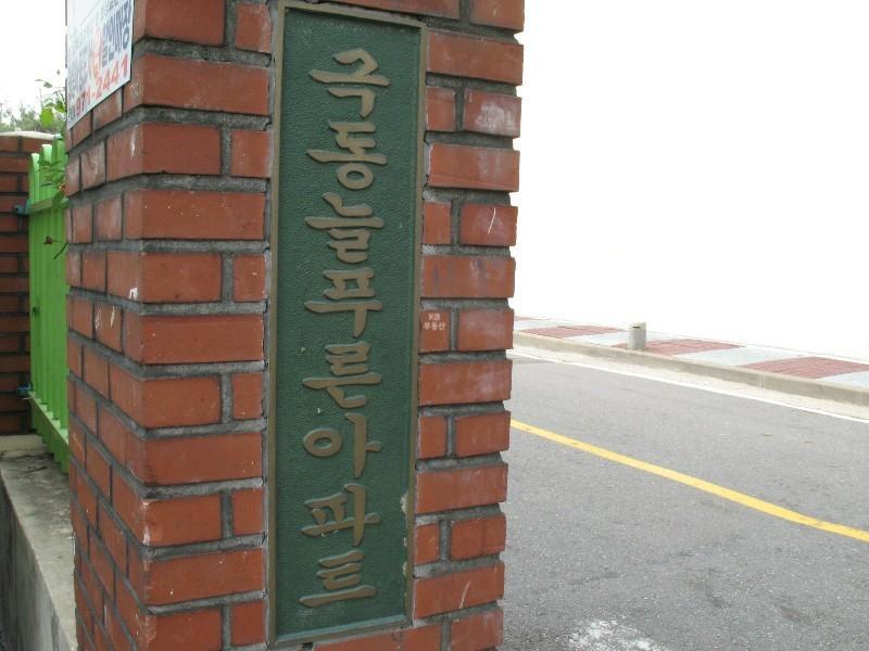 사진 314