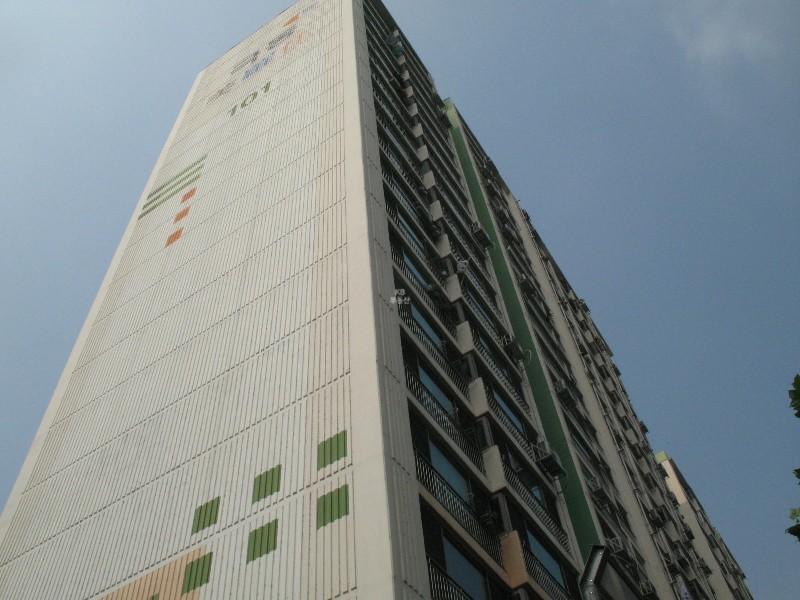 사진 315