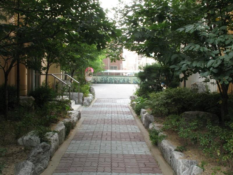 사진 321