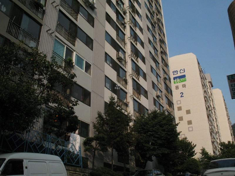 사진 403