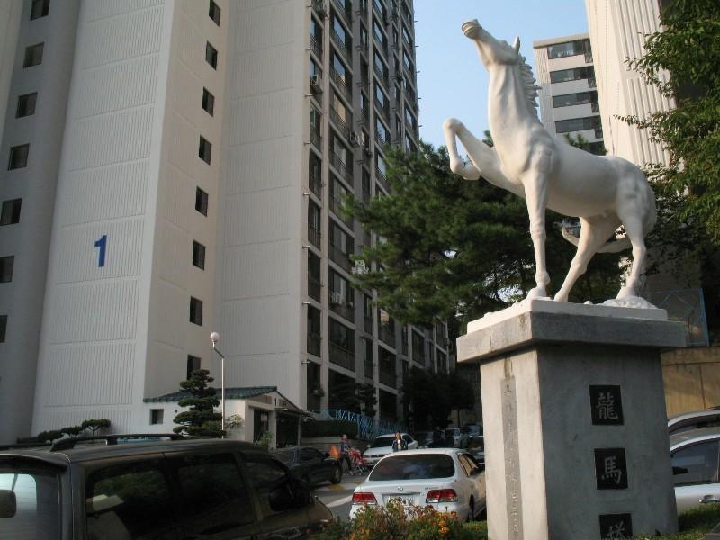 사진 425