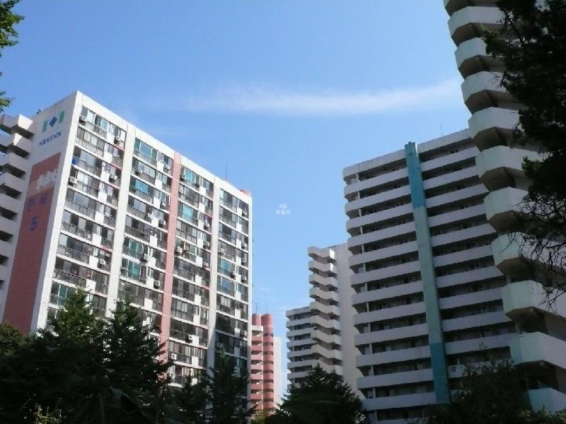 P1000809