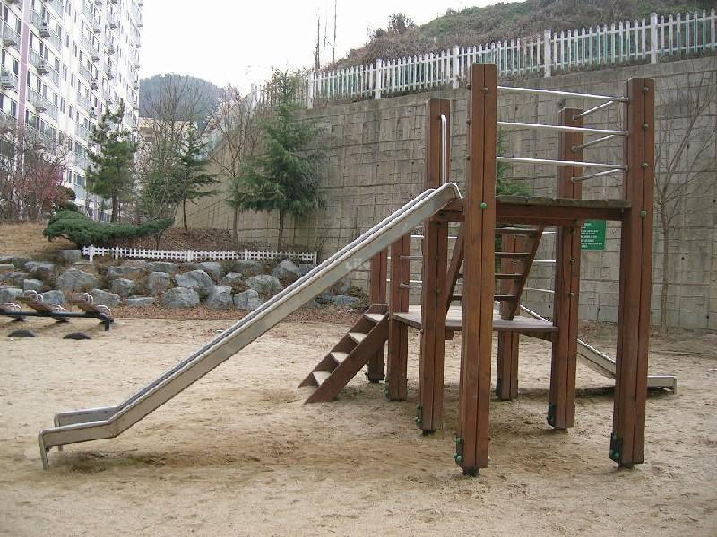 DSCN4601