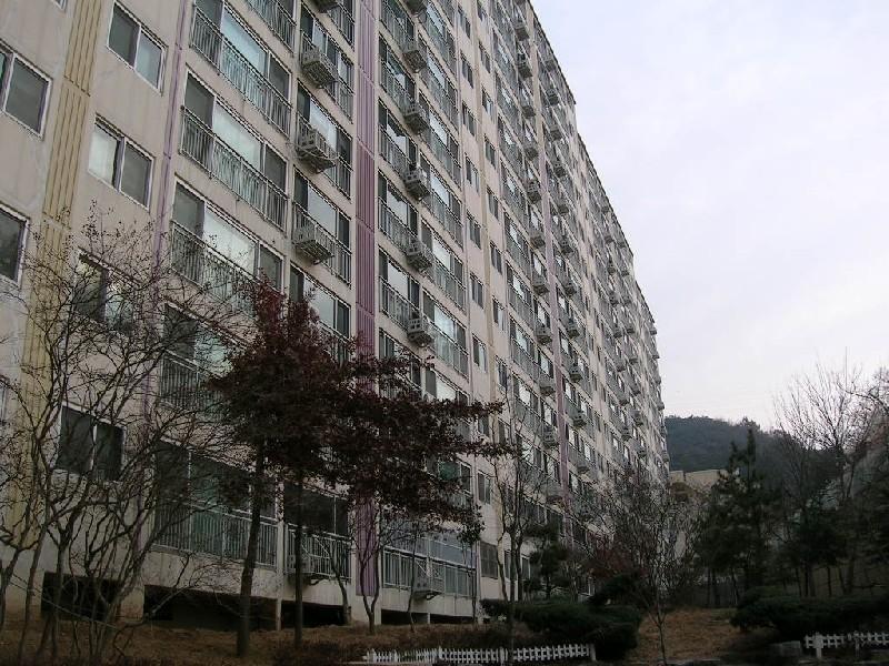DSCN4600