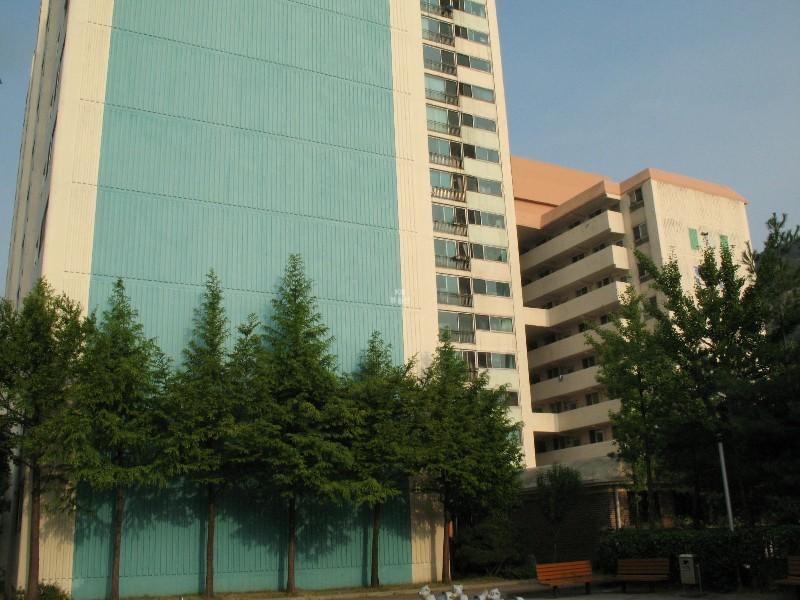 사진 399