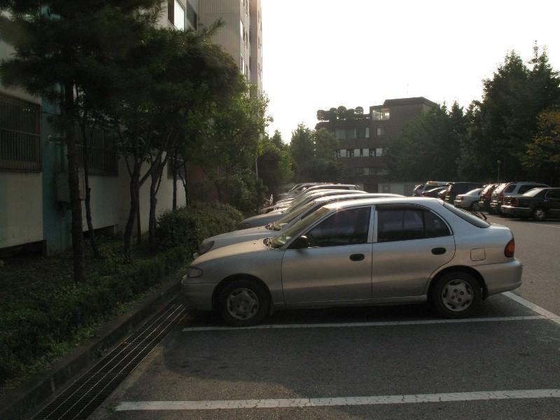 사진 396