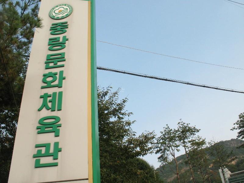 사진 382