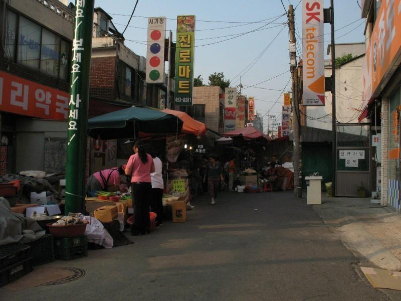 사진 437